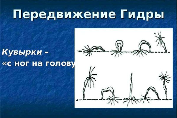 Кракен современный маркет