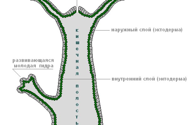 Ошибка на сервере кракен