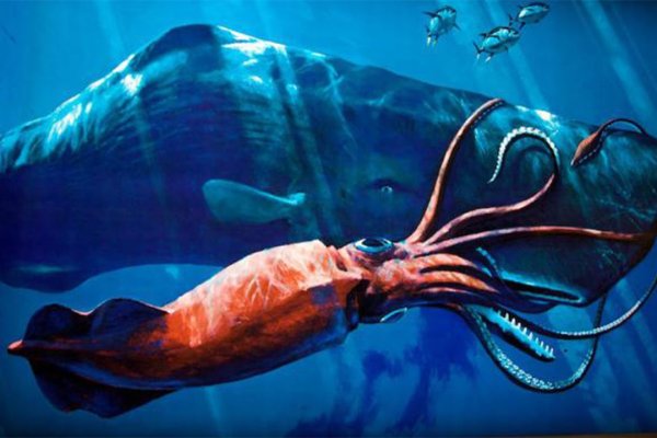 Кракен даркнет kraken014 com