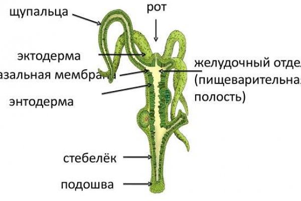 Кракен 2kraken biz