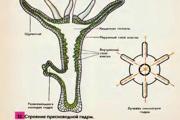 Сайт кракен что это такое